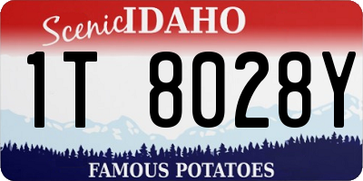 ID license plate 1T8028Y