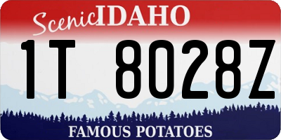 ID license plate 1T8028Z