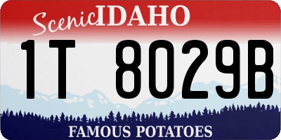 ID license plate 1T8029B