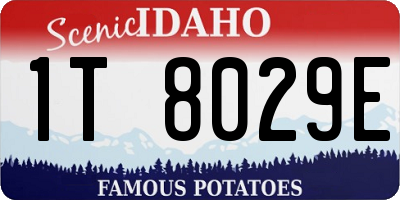 ID license plate 1T8029E