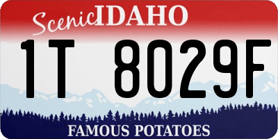ID license plate 1T8029F