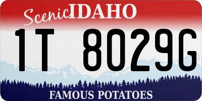 ID license plate 1T8029G
