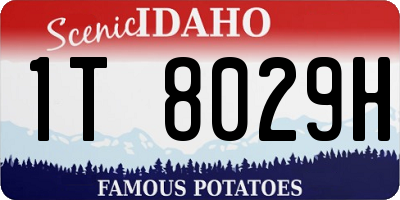 ID license plate 1T8029H