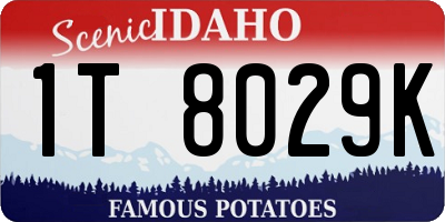 ID license plate 1T8029K