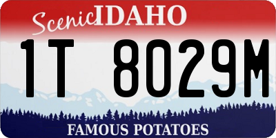 ID license plate 1T8029M