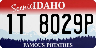 ID license plate 1T8029P