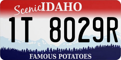 ID license plate 1T8029R