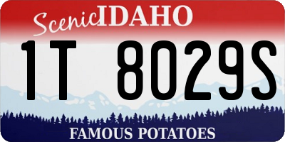ID license plate 1T8029S