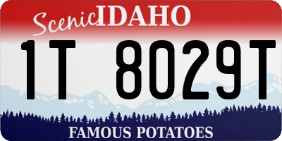 ID license plate 1T8029T