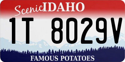 ID license plate 1T8029V
