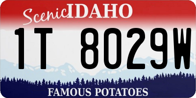 ID license plate 1T8029W