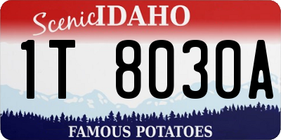 ID license plate 1T8030A