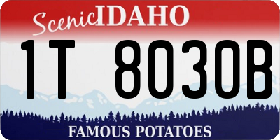 ID license plate 1T8030B