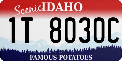 ID license plate 1T8030C
