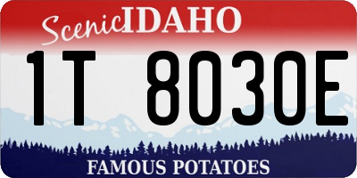 ID license plate 1T8030E