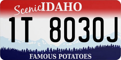 ID license plate 1T8030J