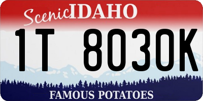 ID license plate 1T8030K