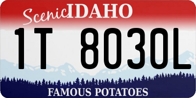 ID license plate 1T8030L