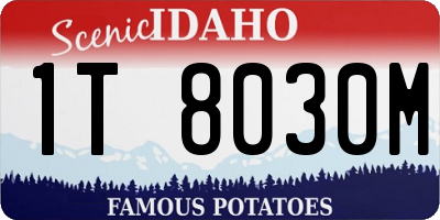 ID license plate 1T8030M