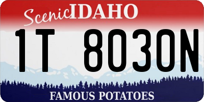ID license plate 1T8030N