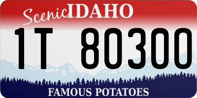 ID license plate 1T8030O