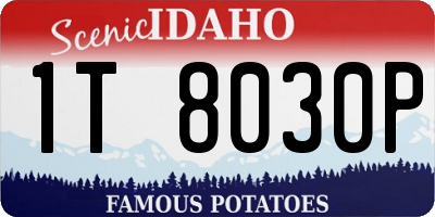 ID license plate 1T8030P