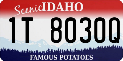ID license plate 1T8030Q