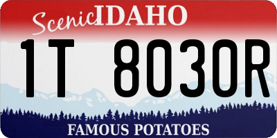 ID license plate 1T8030R