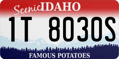 ID license plate 1T8030S