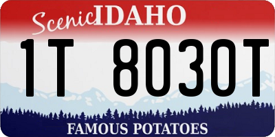 ID license plate 1T8030T