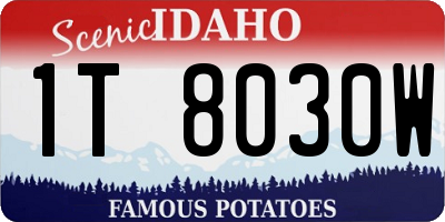 ID license plate 1T8030W