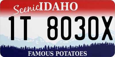 ID license plate 1T8030X