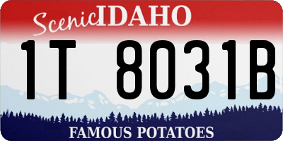 ID license plate 1T8031B