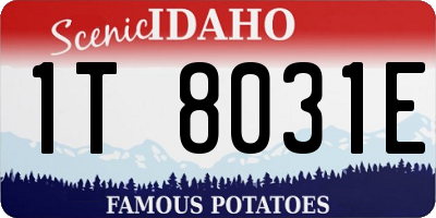 ID license plate 1T8031E