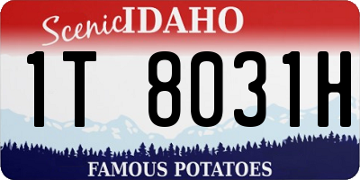 ID license plate 1T8031H