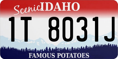 ID license plate 1T8031J