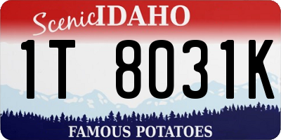 ID license plate 1T8031K