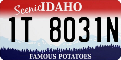 ID license plate 1T8031N