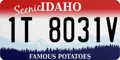 ID license plate 1T8031V