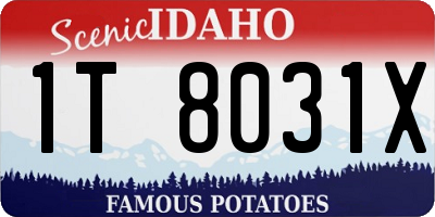 ID license plate 1T8031X
