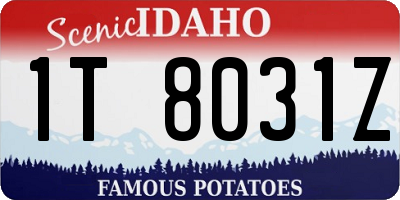 ID license plate 1T8031Z