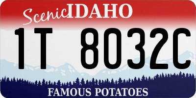 ID license plate 1T8032C