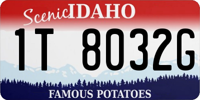 ID license plate 1T8032G