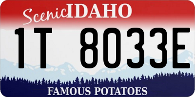 ID license plate 1T8033E