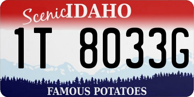 ID license plate 1T8033G