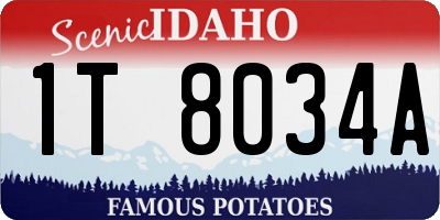 ID license plate 1T8034A