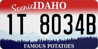 ID license plate 1T8034B
