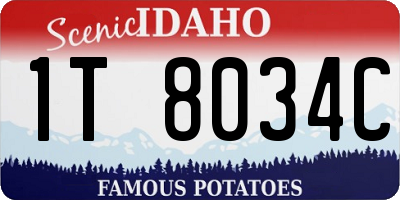 ID license plate 1T8034C