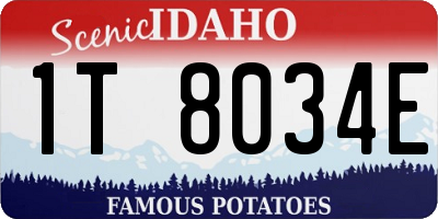 ID license plate 1T8034E