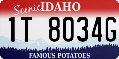 ID license plate 1T8034G